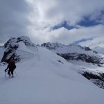 Expedición PatagoniAnfibia